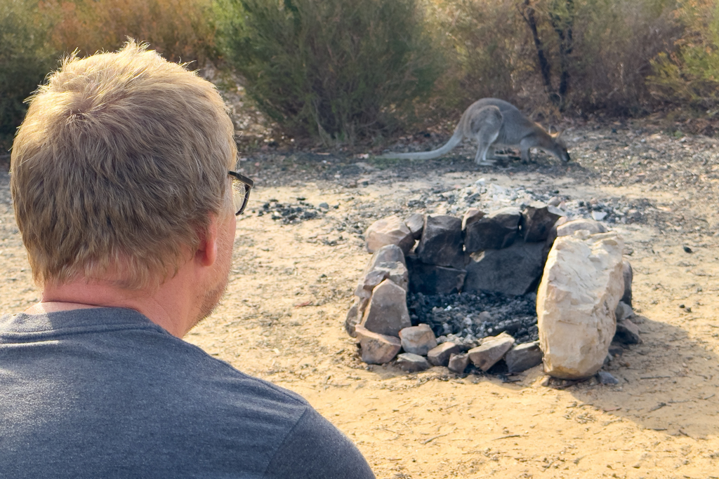 Ein kleines Bunny direkt bei uns am Stellplatz im Stapylton Campground