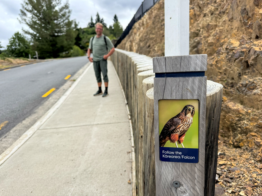 Folge dem Weg von Kārearea, dem Falken