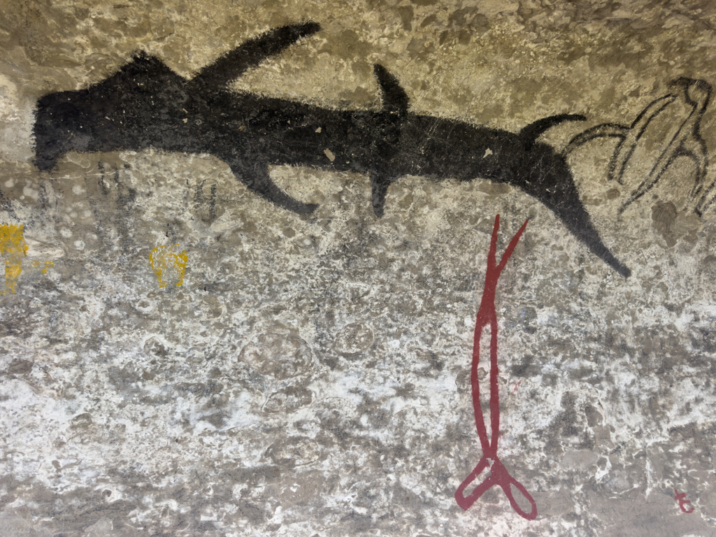 Stellt es einen Delfin oder einen Hai da?