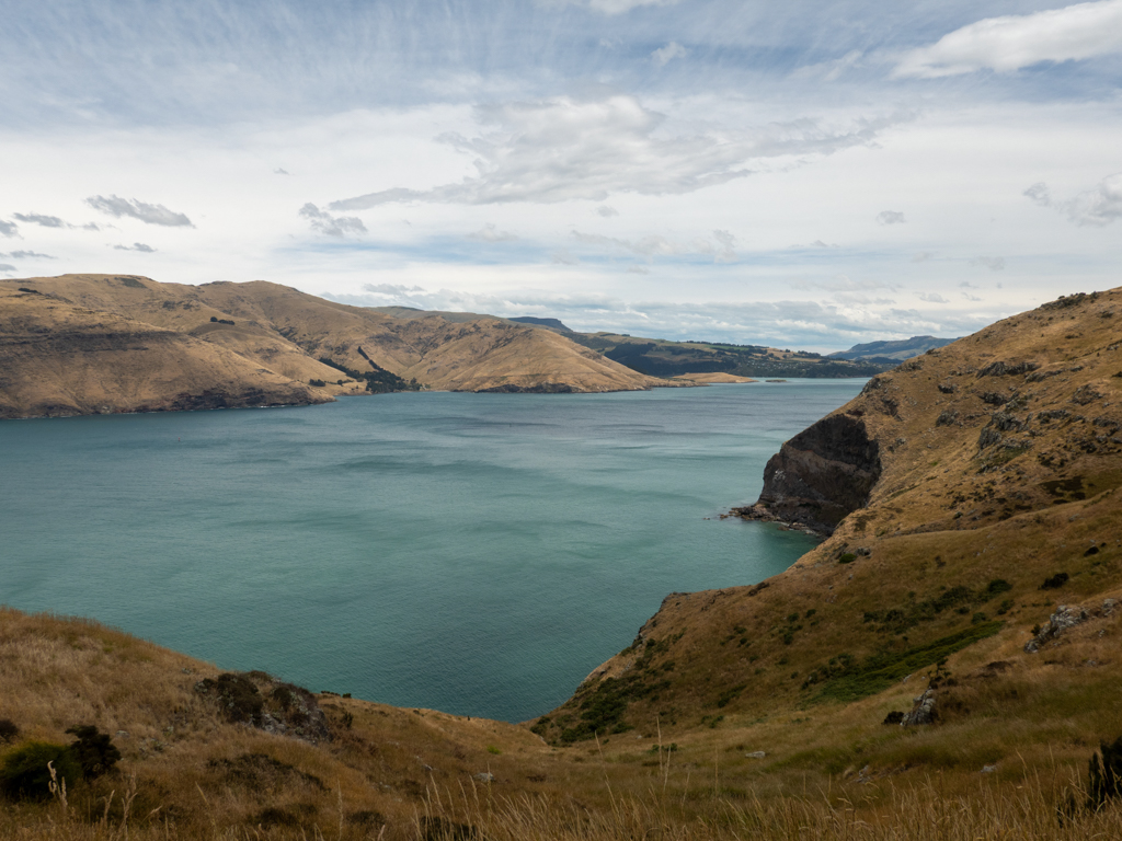 Am Scarborough Farm Park. Die Landschaft um den Fjord bei der Stadt Lyttelton