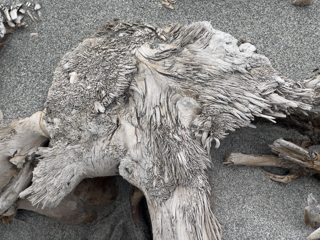 Stilleben: Schwemmholz mit Kieselsteinen an der Gillespies Beach