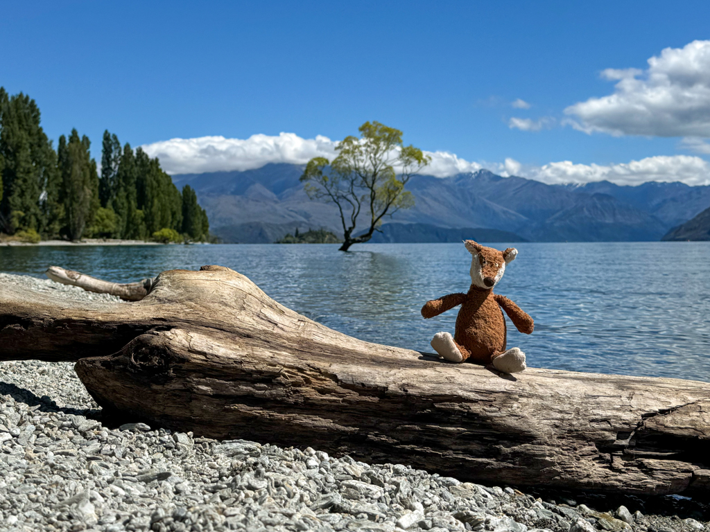 Mit Mo am "Tree Wanaka", fast wie vor 10 Jahren...