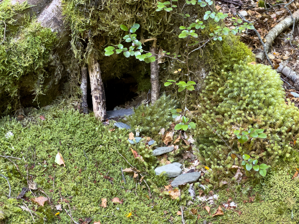 Ob da wohl die Zwerge und die Elfen wohnen??