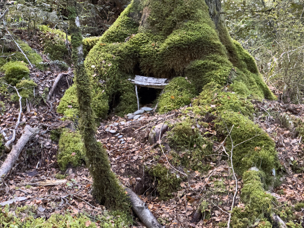 Ob da wohl die Zwerge und die Elfen wohnen??