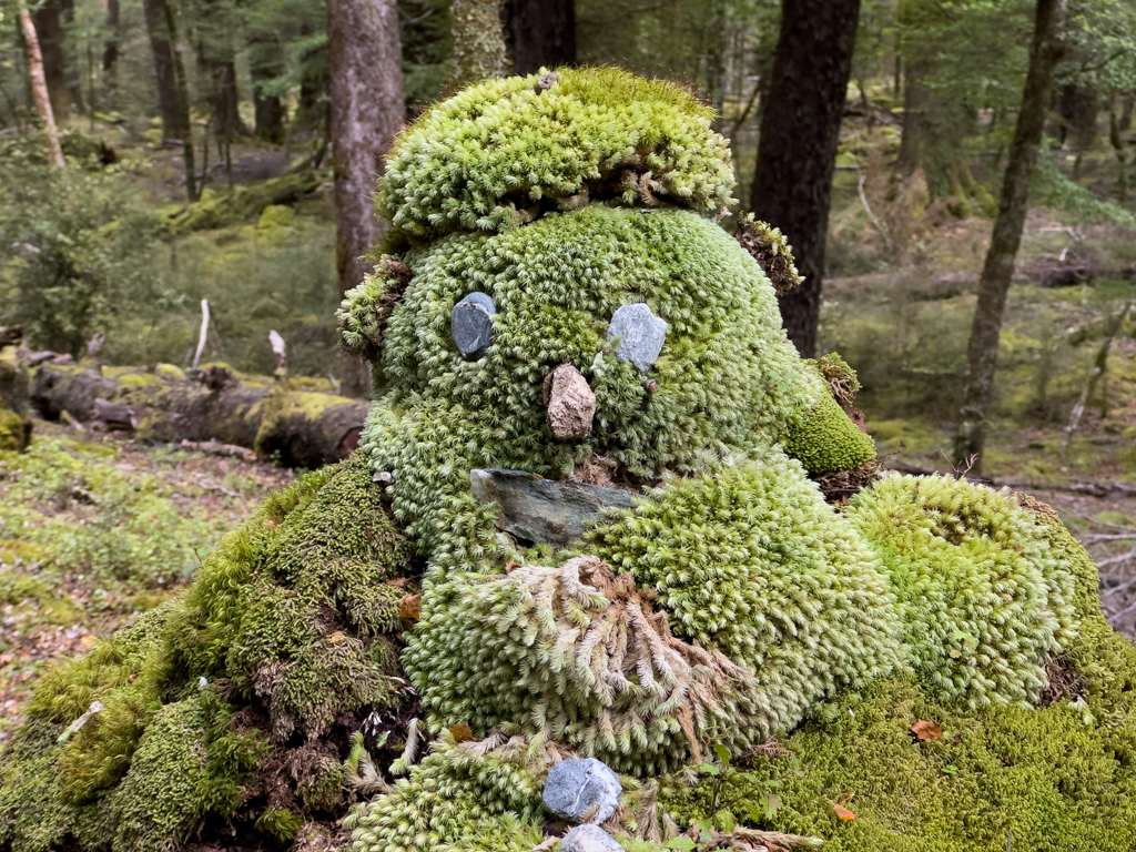 Das lustige Gesicht des Moosmanns :-)