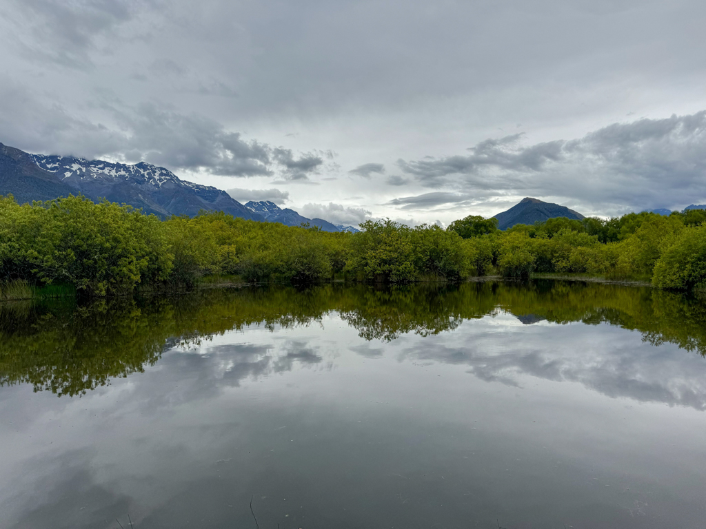 Schöne Spiegelung in einem Tümpel während der Lagunen Wanderung in Glenorchy