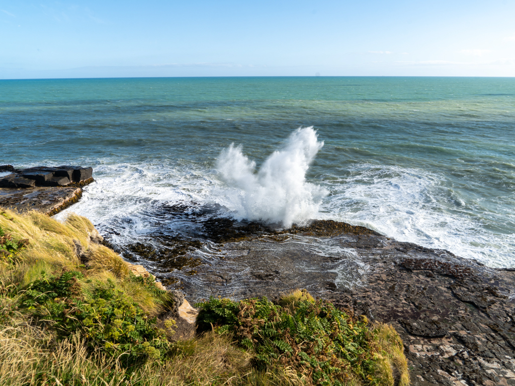 Die Wellen brechen sich unter unserem Stellplatz in der Curio Bay