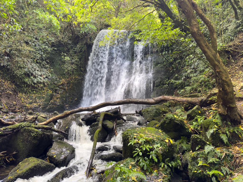 Bei den Matai Falls angekommen...
