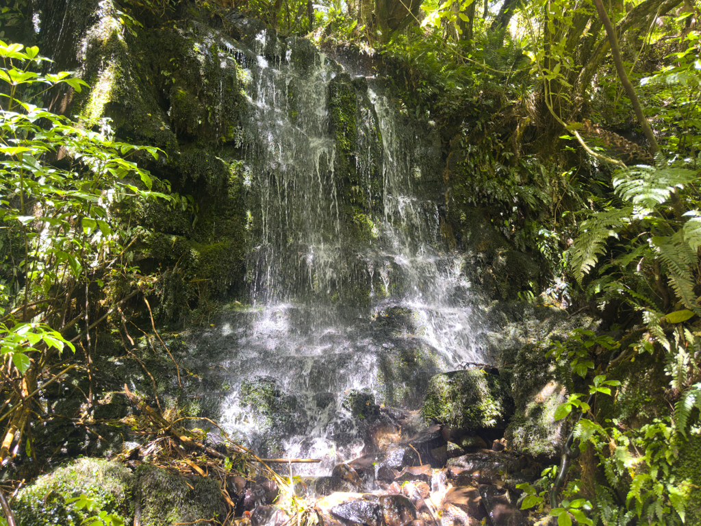 Horse Shoe Falls, oberhalb der Matai Falls