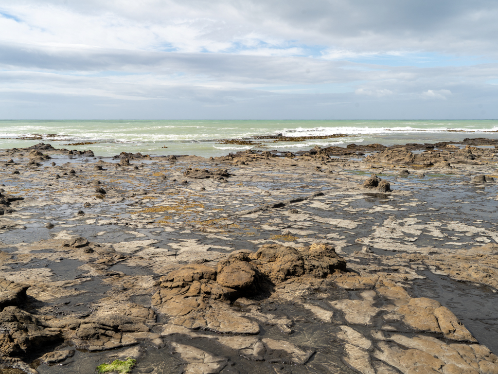 Verstreut liegen einige versteinerte Baumstämme umher
