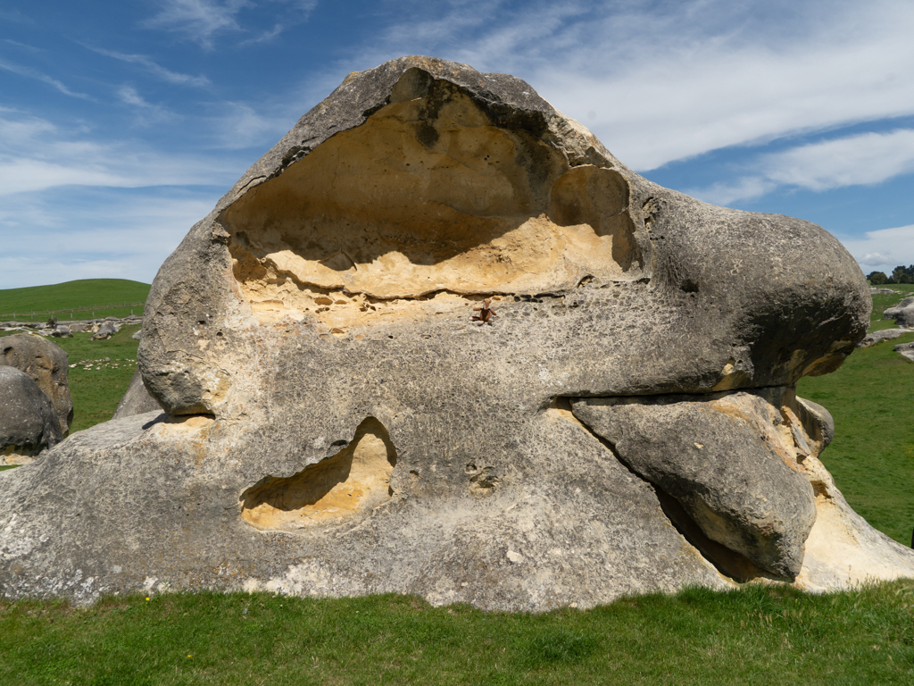 Suchbild: Wo ist Mo??