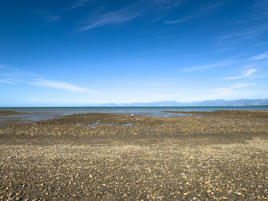 Ebbe am McKee Memorial Reserve