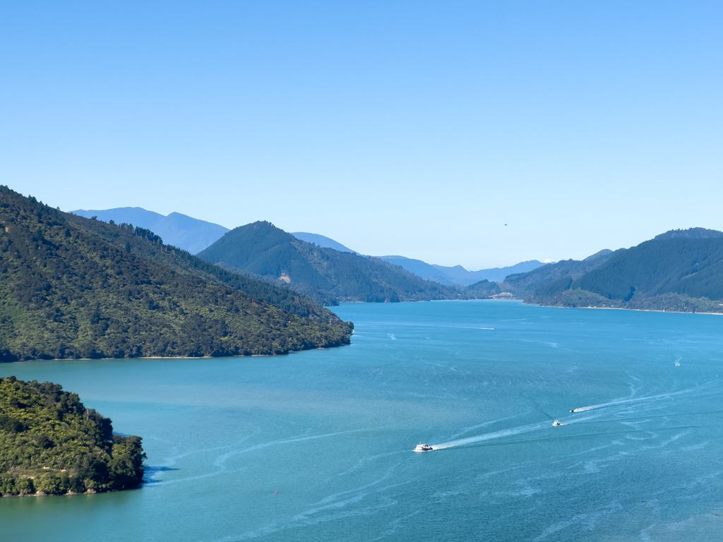 Aussicht von einem Lookout auf den Pelorus Sound