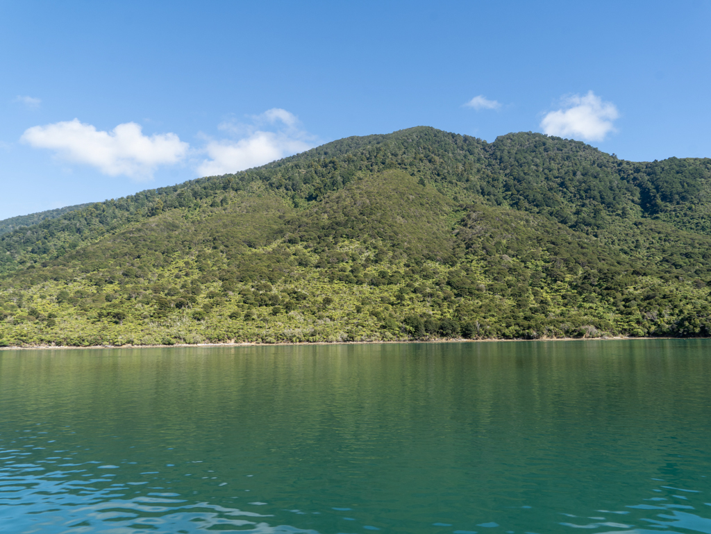 Dicht bewachsene Hügel umgeben die Gewässer des Sounds