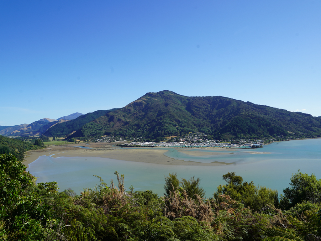 Aussicht von einem Lookout auf den Hafen von Havelock und den Pelorus Sound
