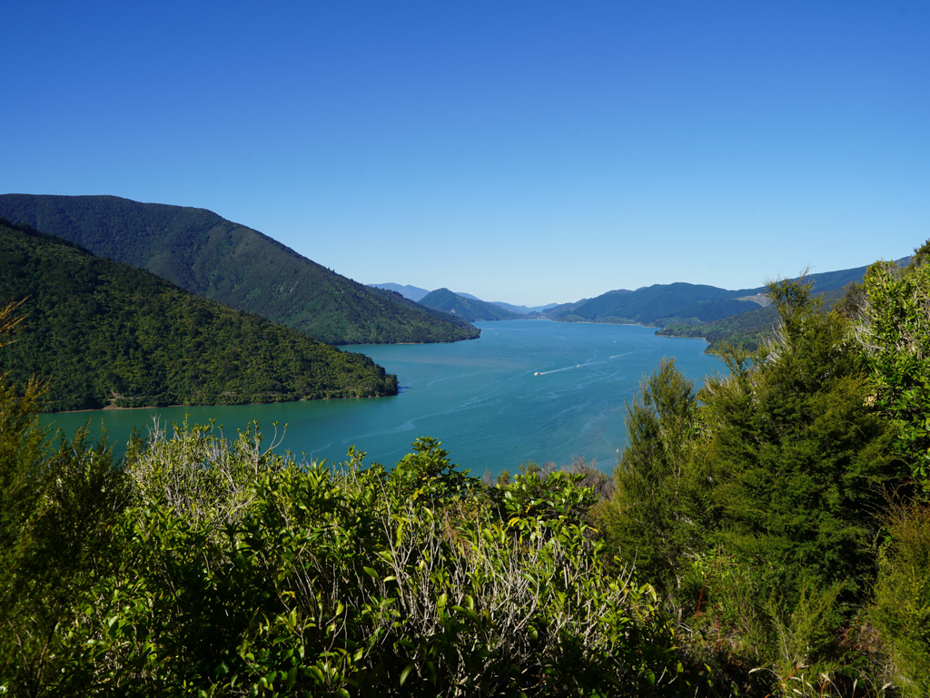 Aussicht von einem Lookout auf den Pelorus Sound