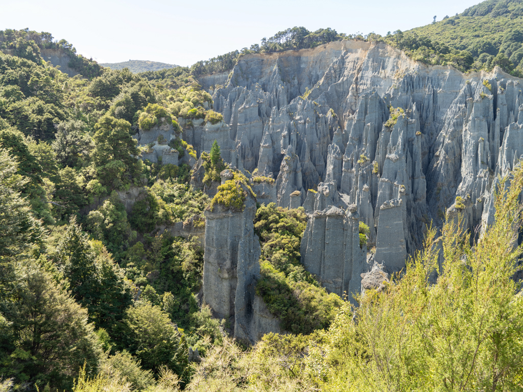 Bizzar stehende Pinnacles auf engstem Raum in der grünen Landschaft