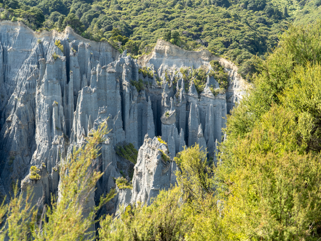 Bizzar stehende Pinnacles auf engstem Raum in der grünen Landschaft