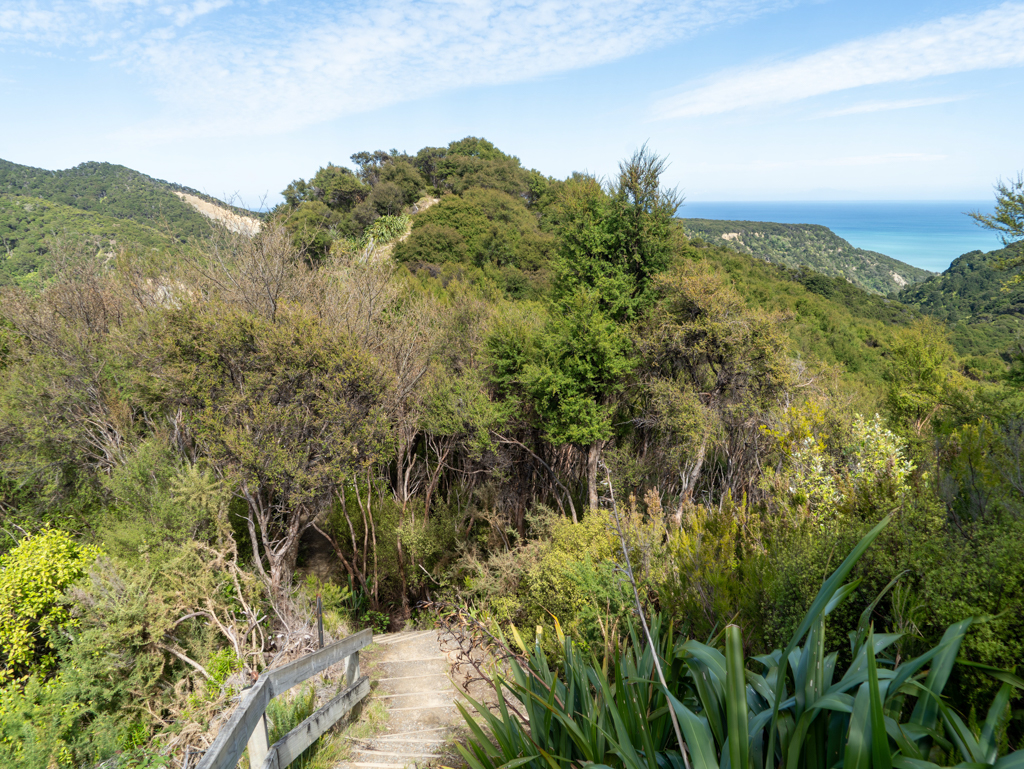Retour vom Lookout der Pinnacles sehen wir das offene Meer
