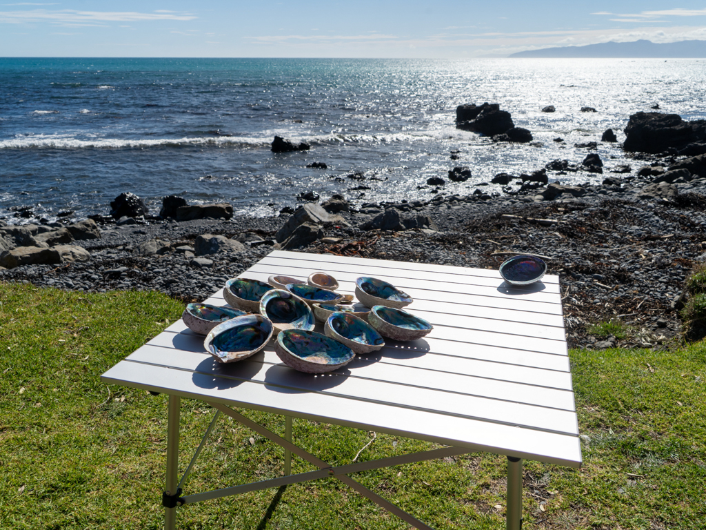 Die beachtliche Paua-Shell-Ausbeute unserer Strandwanderung