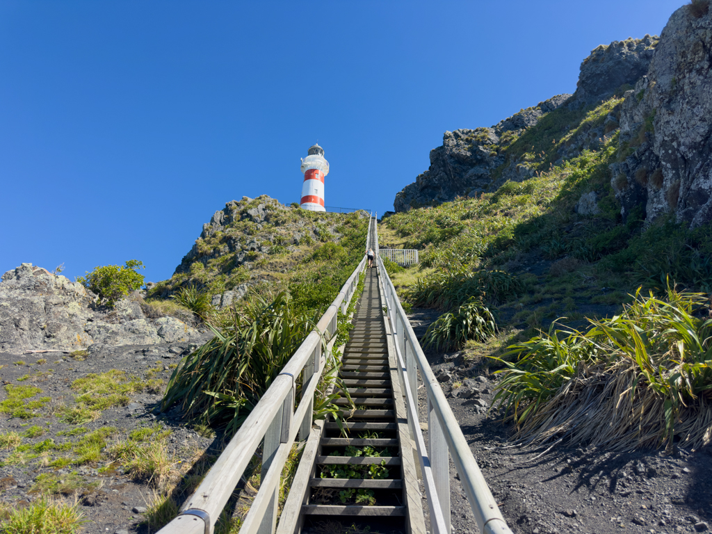Ma mitten drin in den 250 Stufen, die zum Cape Palliser Lighthouse gehen