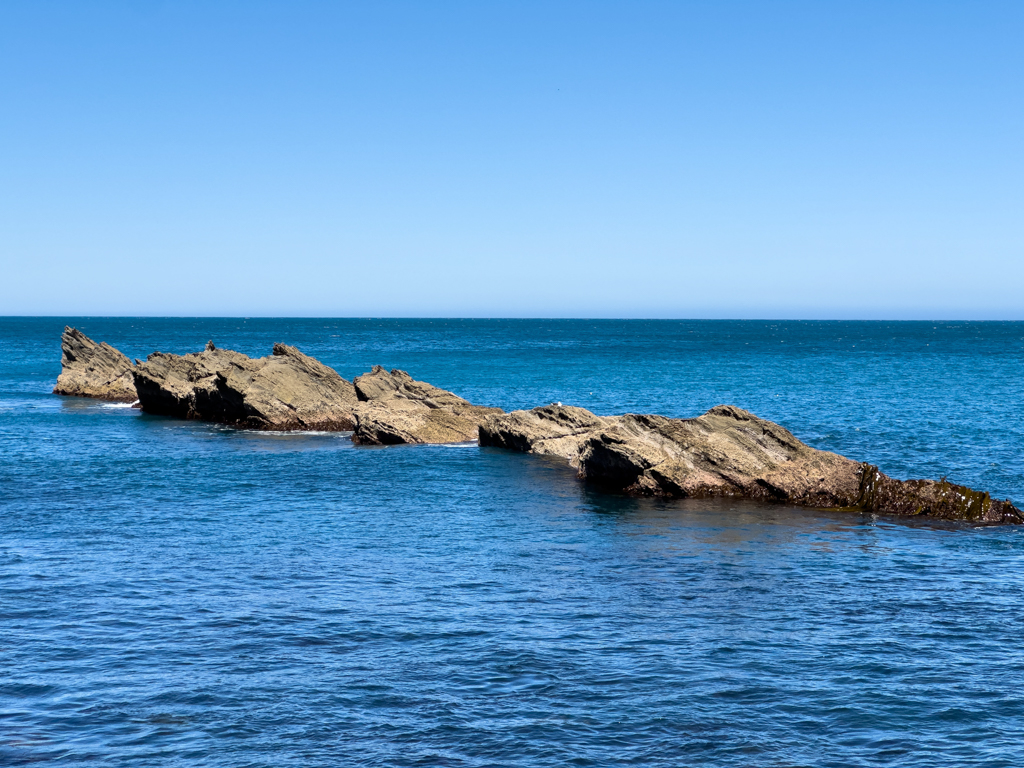 Schräge Felsen ragen aus dem Wasser in der Palliser Bay
