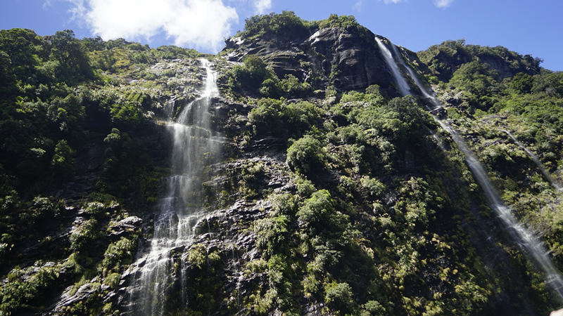 Wasserfälle in den Doubtful Sound