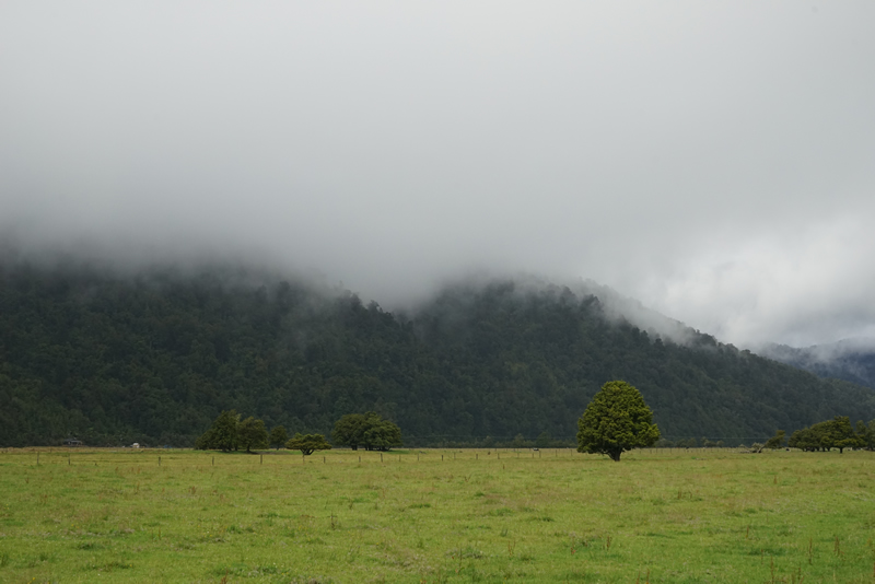 Wolkenverhangener Regenwald