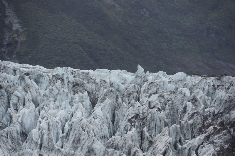 Gletschereis fliesst durch Regenwald