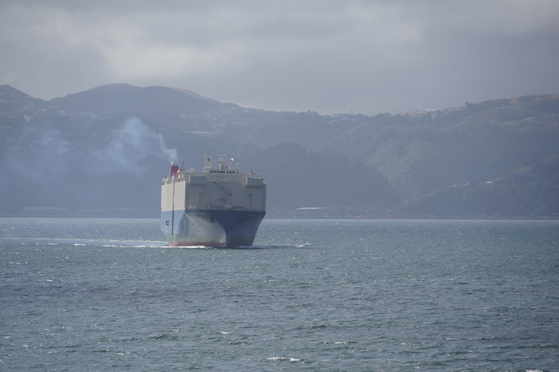 Gegenverkehr in der Hafeneinfahrt nach Wellington