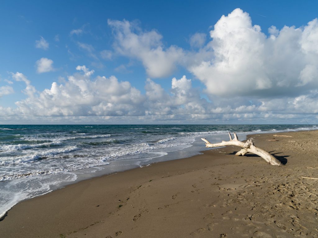 Wieder einmal am Meer!