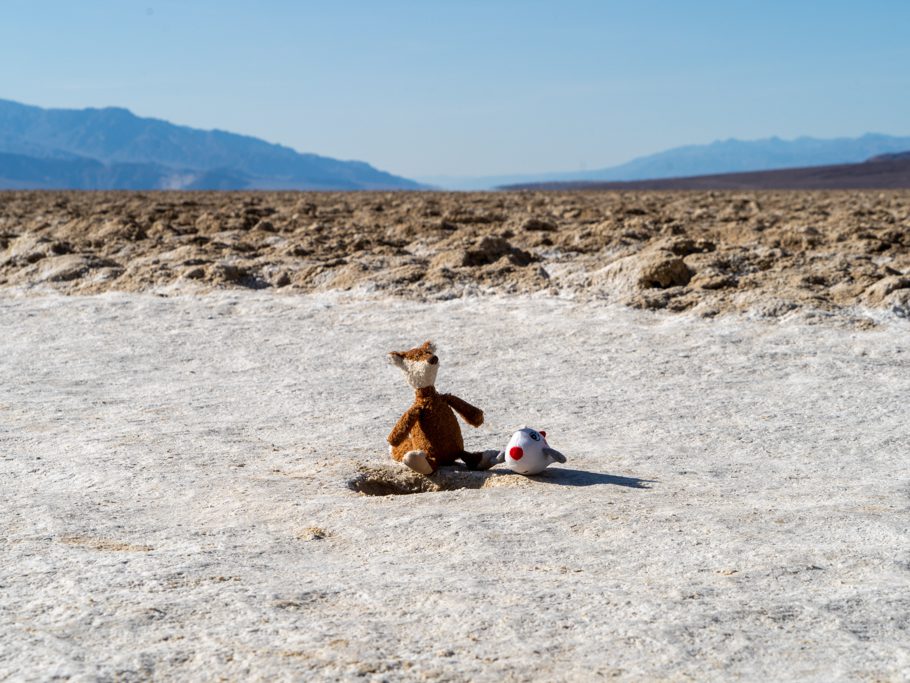 Mo & Sam im Badwater Bassin, Death Valley