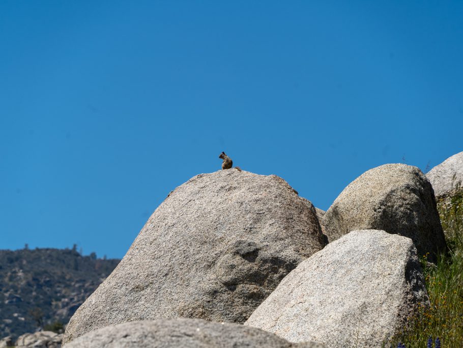 Lake Isabella, Sequoia National Forest