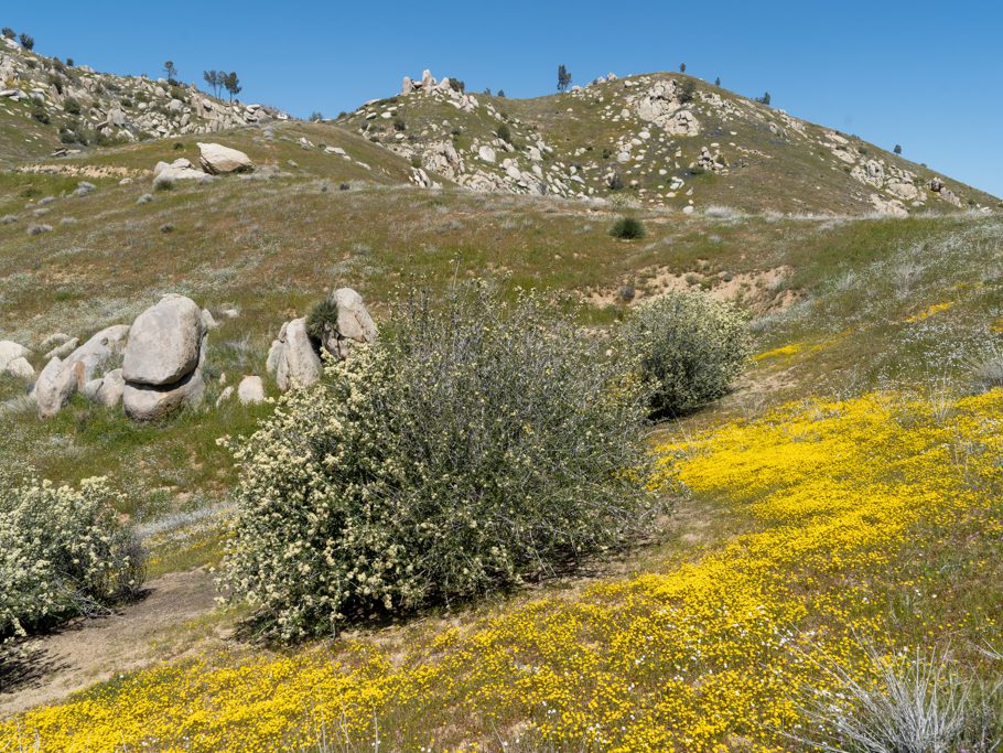 Lake Isabella, Sequoia National Forest