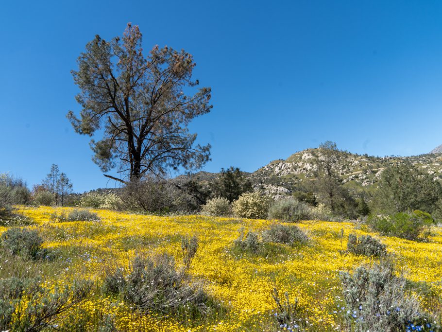 Lake Isabella, Sequoia National Forest