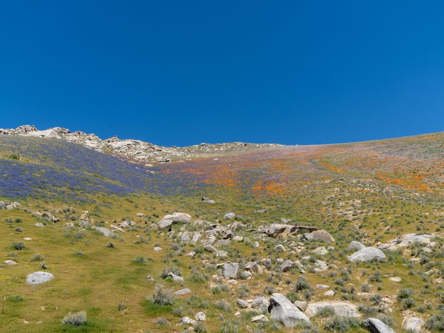 Lake Isabella, Sequoia National Forest