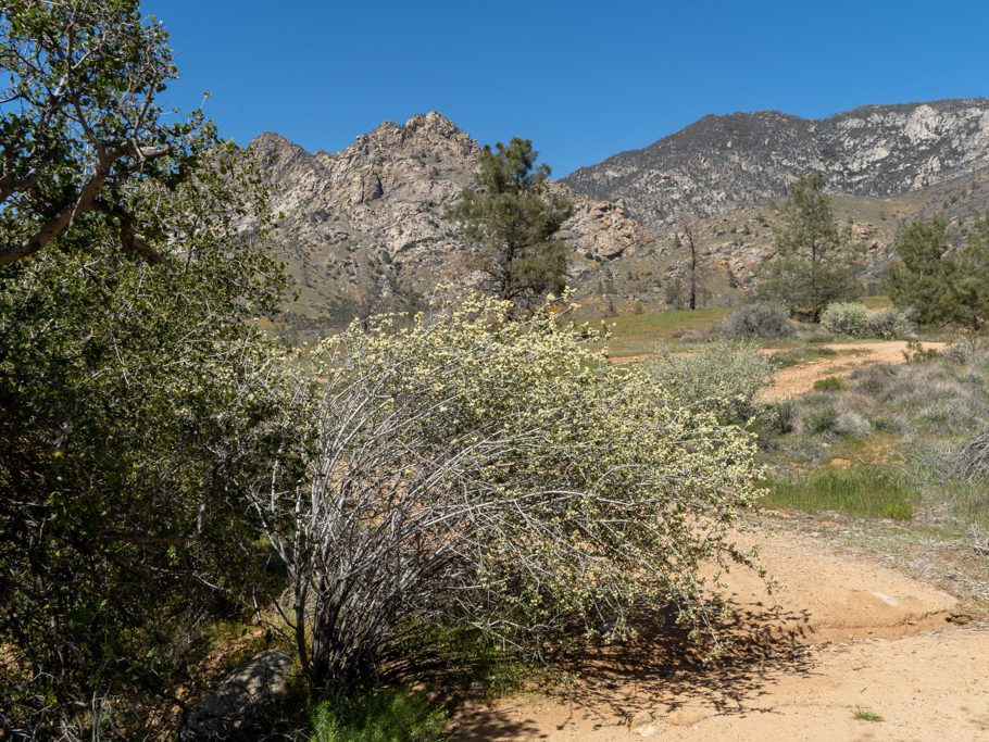 Kern River Valley, Sequoia National Forest