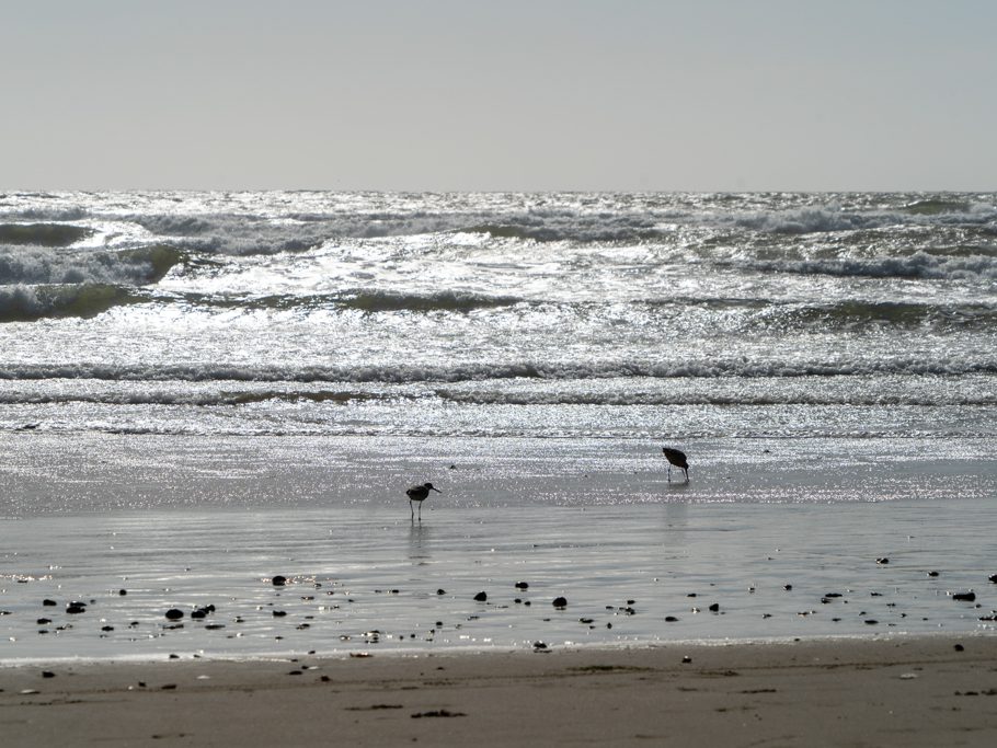 Morro Bay