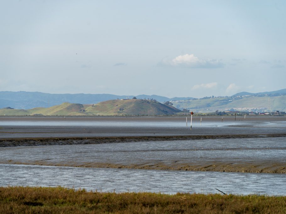 Baylands Nature Preserve, Palo Alto