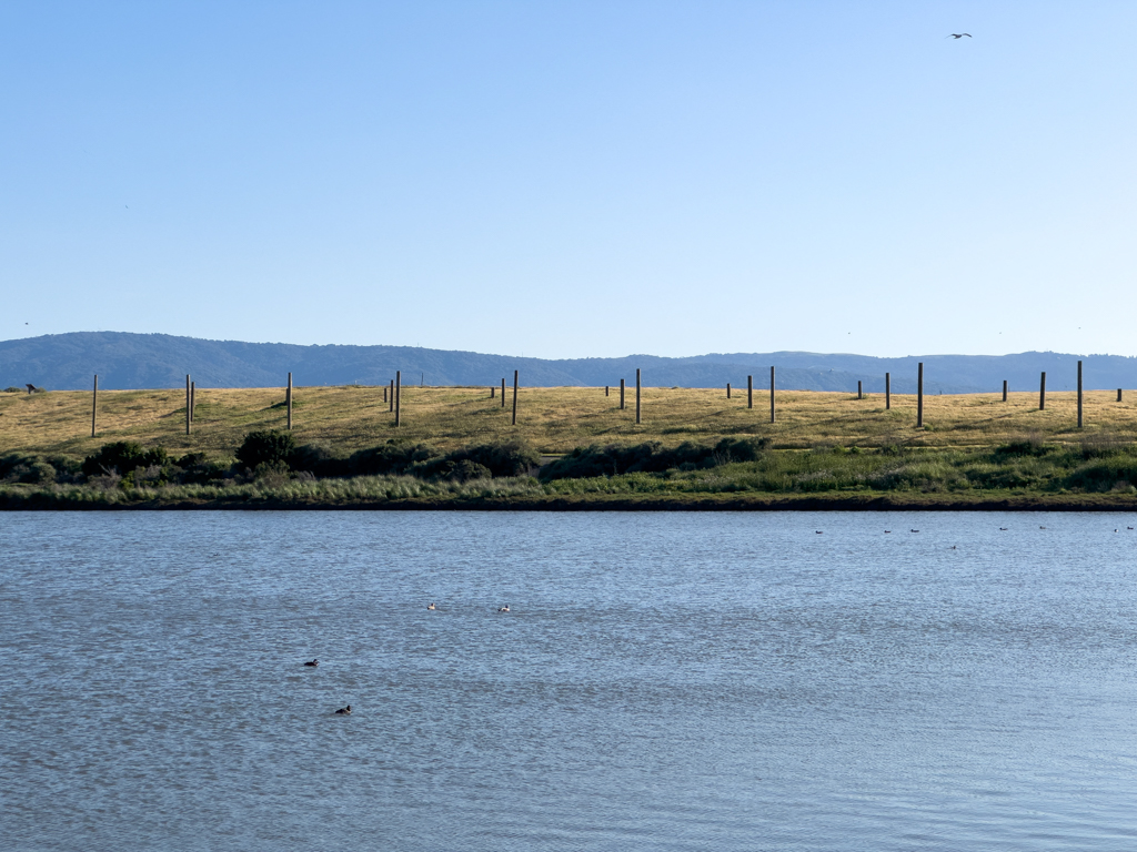 Kunstinstallation, Baylands Nature Preserve, Byxbee Park, Palo Alto