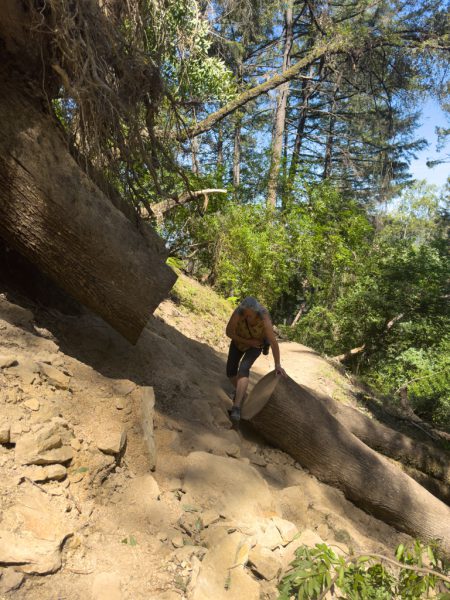 kleine Kraxelei auf dem "gesperrten" Wanderweg