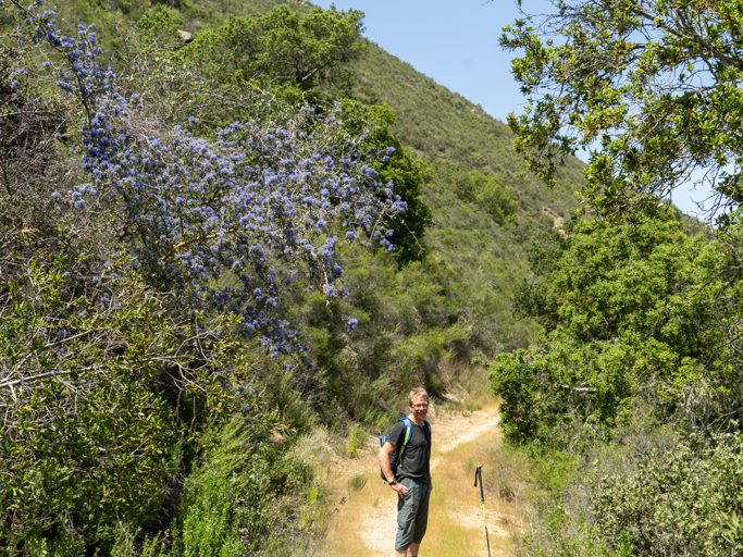 Wanderung in der Hollister Hills state recreation area