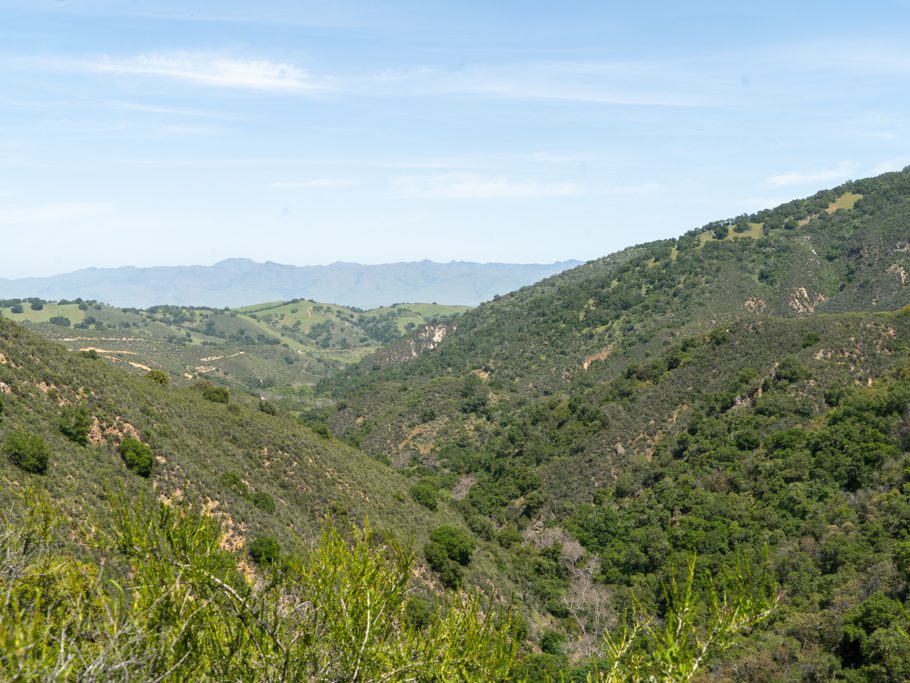 Wanderung in der Hollister Hills state recreation area