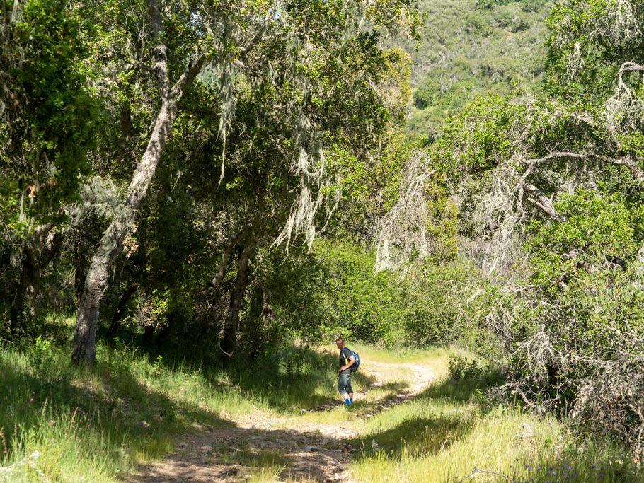 Wanderung in der Hollister Hills state recreation area