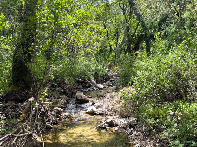 Wanderung, Hollister Hills