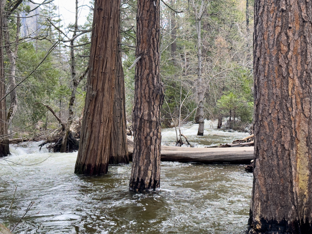 Yosemite Nationalpark