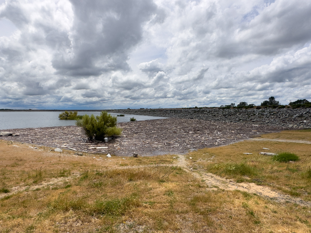 Schwemmholz im Folsom Lake