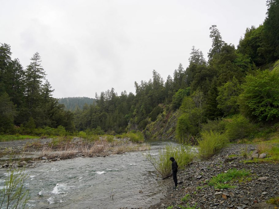 Standish-Hickey State Recreation Area, Leggett: South Fork Eel River