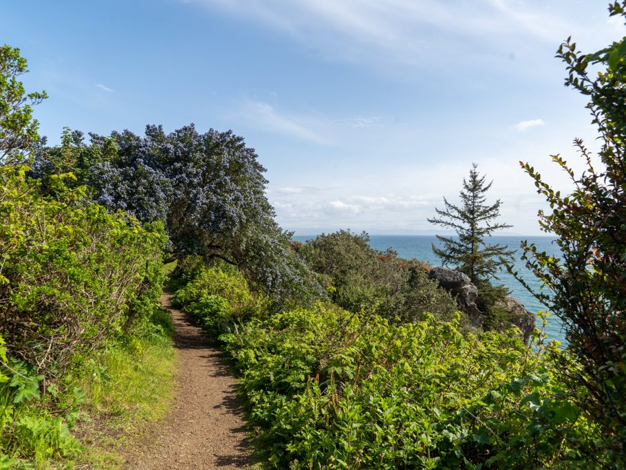 Trinidad, Nordwestküste von Kalifornien