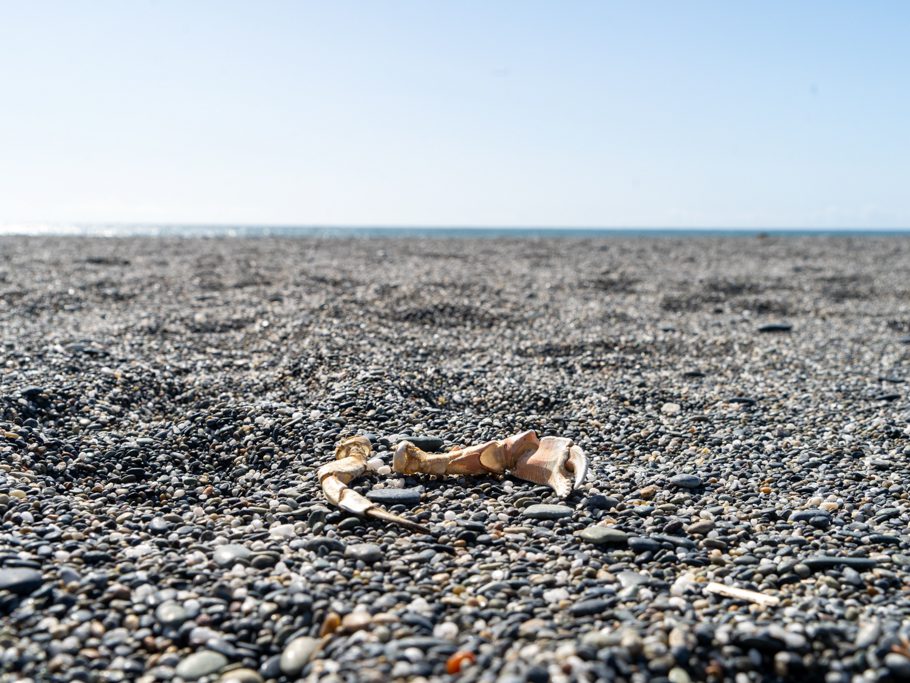 Humboldt Lagoons State Park